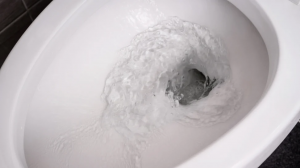 How to Fix a Clogged Toilet?